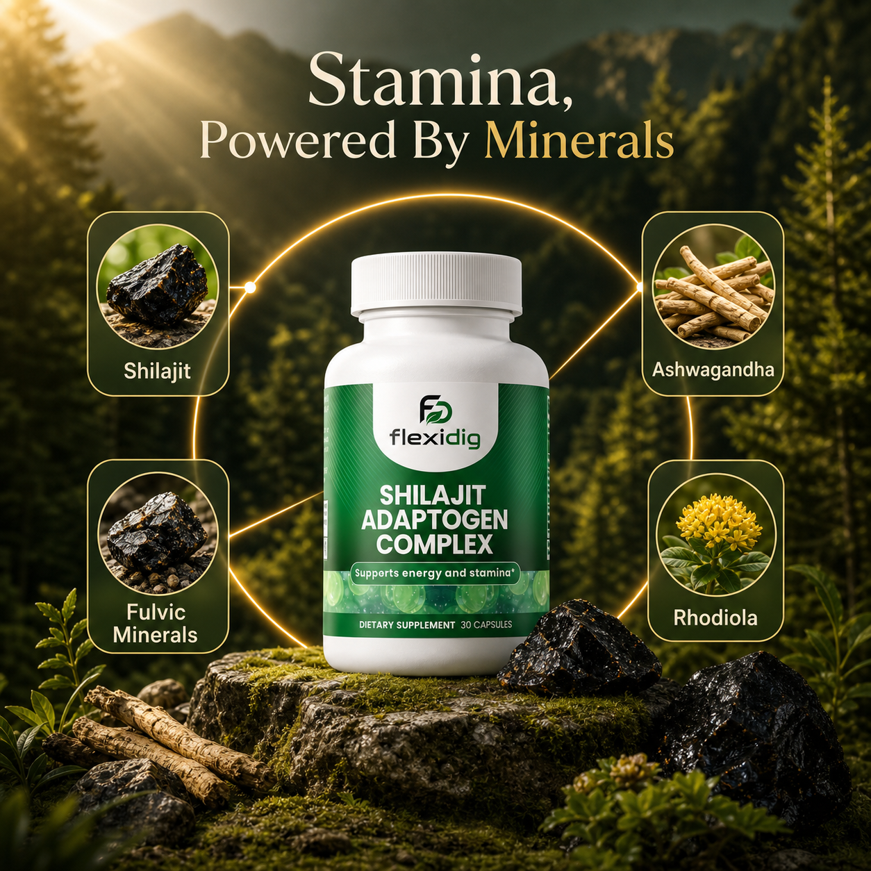 Shilajit Adaptogen Complex