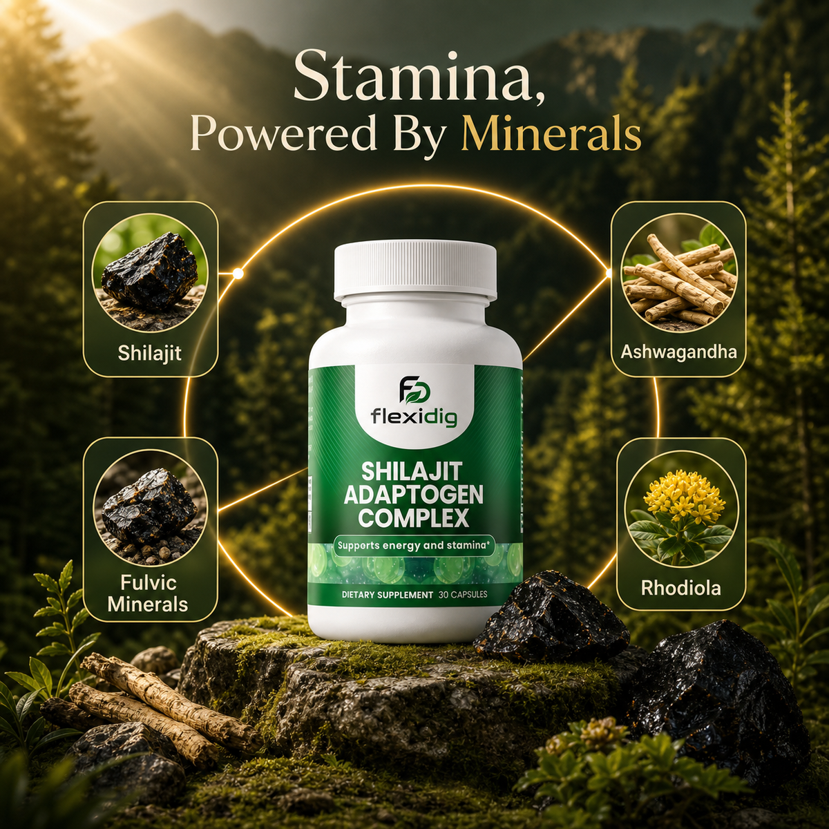 Shilajit Adaptogen Complex